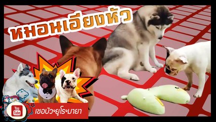 เชอบัว ยูโร มายา ตอนที่ 78   หมอนเอียงหัว