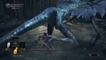 Dark Souls 3 Consumed King Oceiros sl1