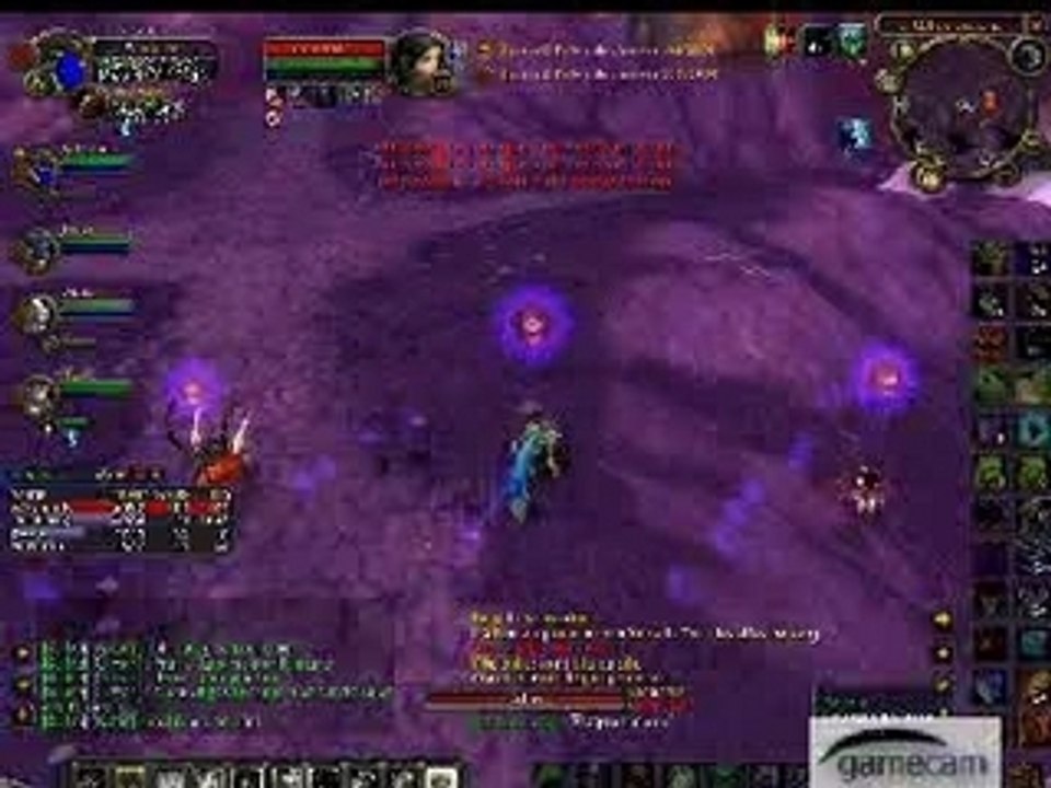Full raid warlock