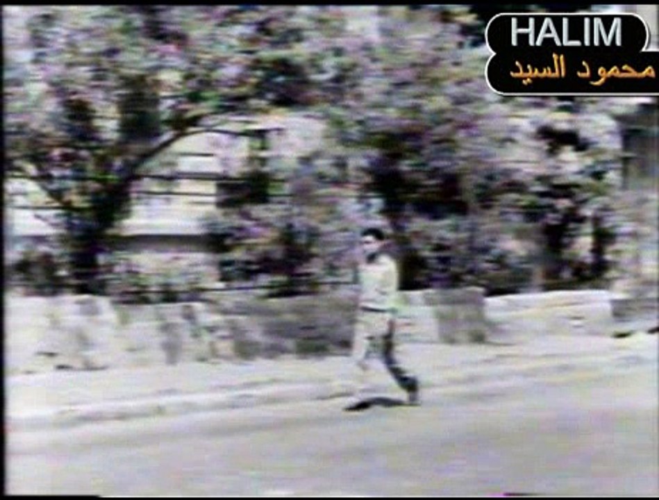 HALIM 20 AWAL MARA