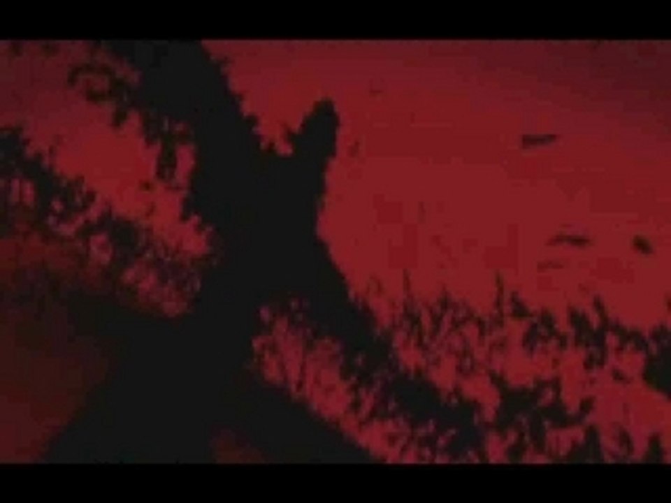 Power of a Vampire -  Hellsing AMV