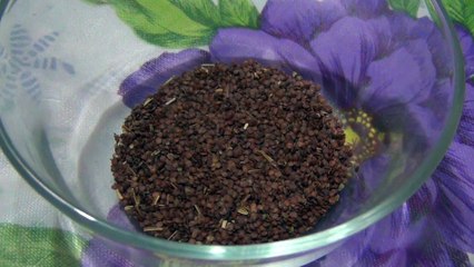 Lajwanti (Humble Plant) Ka Mizaj Aur Pehchan By Arshad
