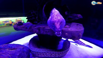 Кукла Беби Борн и Ярослава в Океанариуме Анталии. Каникулы в Турции. Baby Born. Antalya Aquarium