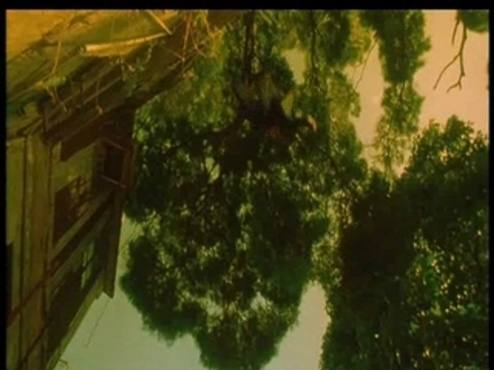 Extait: Dead or alive 3