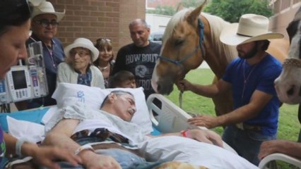 Ölüm Döşeğinde Atlarına Son Veda