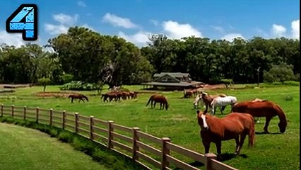 5 Stupidest Lottery Winners