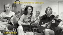 Der Pate Godfather Nino Rota Mandolin Orchestra Ettlingen Main Theme Zupforchester