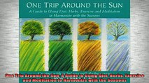 READ book  One Trip Around the Sun A Guide to Using Diet Herbs Exercise and Meditation to Harmonize Online Free