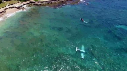 Light aircraft crashes into the sea off Hawaii beach