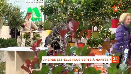 JT MAI 2016 [S.5] [E.24] - Le Journal du mardi 24 mai 2016