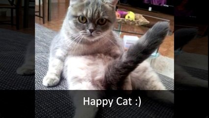 25 Perfectly Timed Photos