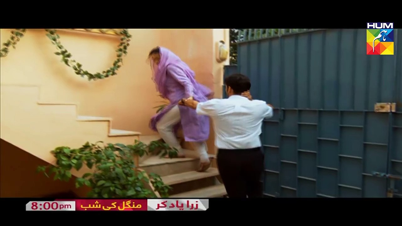 Zara Yaad Kar - FULL OST (HUM TV) - Rahat Fateh Ali Khan