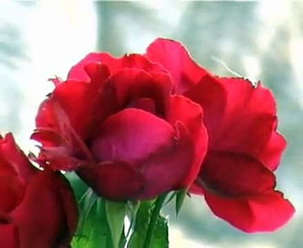 Grecia. Hellas. Parte 3. Junio 2003