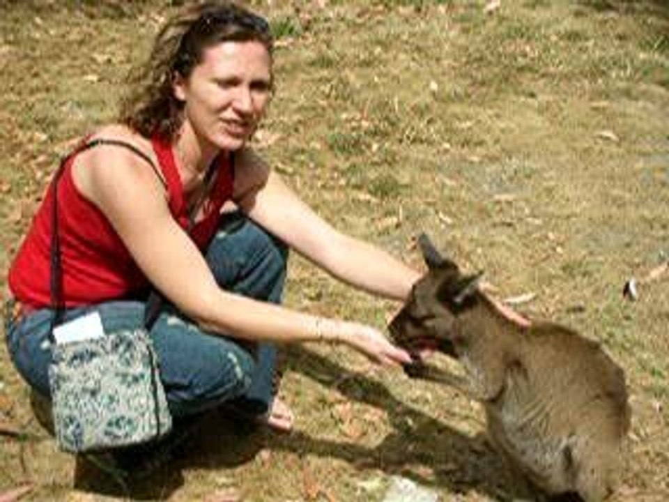 Aude et le bébé kangourou