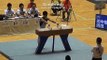 【Gymnastics】Japanese high school games Tanaka PH 田中樹
