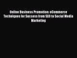 Download Online Business Promotion: eCommerce Techniques for Success from SEO to Social Media