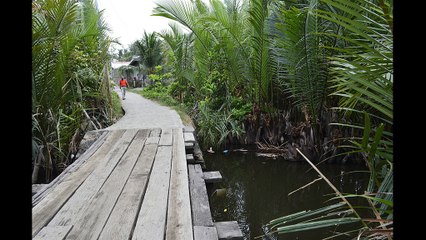 WiSH plays Mozart in pop mode - "Flying kites in Batangas"