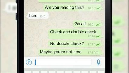 WhatsApp Security & Privacy Explained 🔒