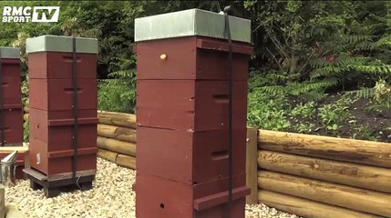 Sarah Pitkowski vous présente les ruches de Roland-Garros