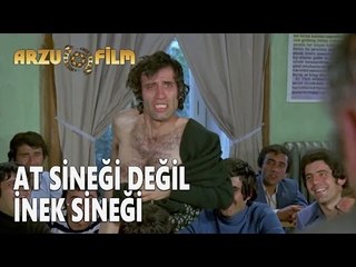 Hababam Sınıfı - At Sineği Değil İnek Sineği