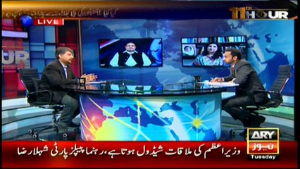 Abidi sees opposition going not very far on Panama issue