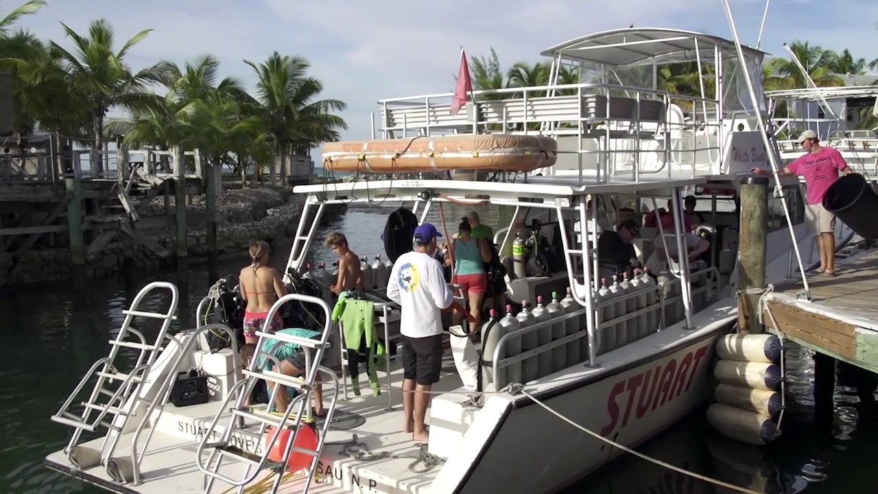 Stuart Cove’s TV: Local Spots