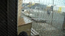 Ville shelter