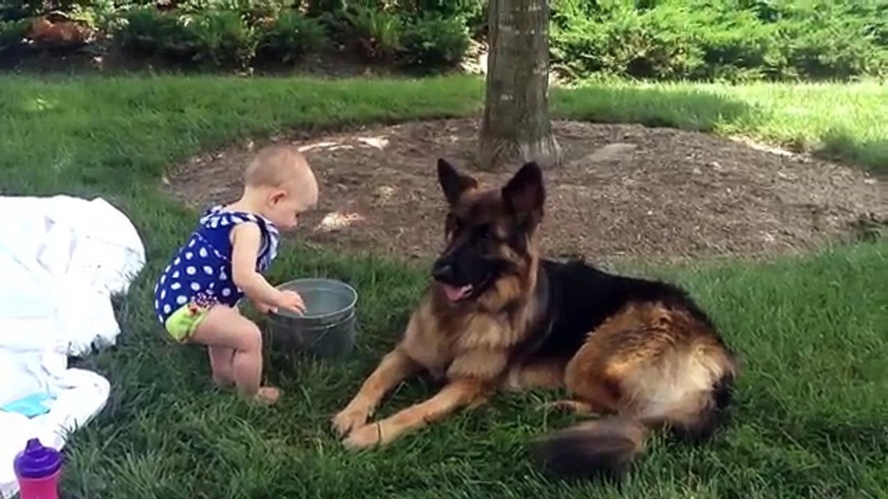 L'Amore Puro tra un Pastore Tedesco e un Bambina