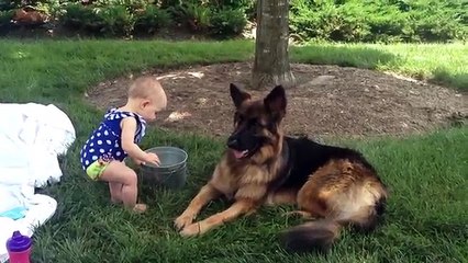 L'Amore Puro tra un Pastore Tedesco e un Bambina