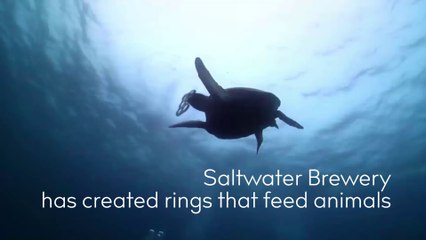 Edible Six-Pack Rings To Reduce Plastic In Oceans