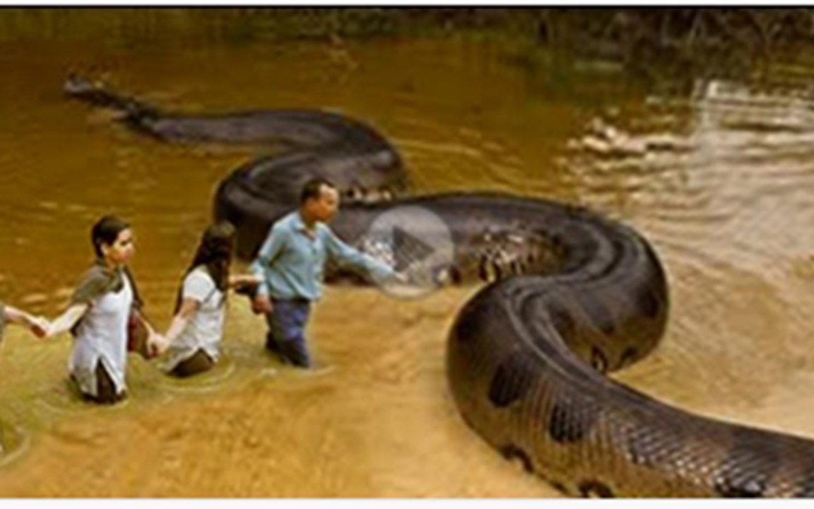 GIANT SNAKE FOUND ON EARTH - ANACONDA
