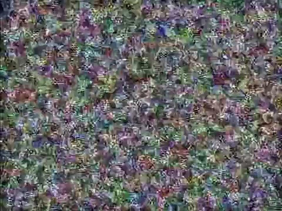 Robot Chicken The Karate Kid