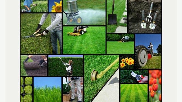 Business Insurance Jacksonville