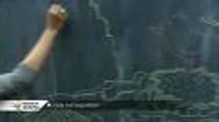 Bordeaux Métropole - L'été Métropolitain