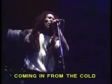 Bob Marley   17   Coming In From The Cold    Live In Dortmund Germany 1980