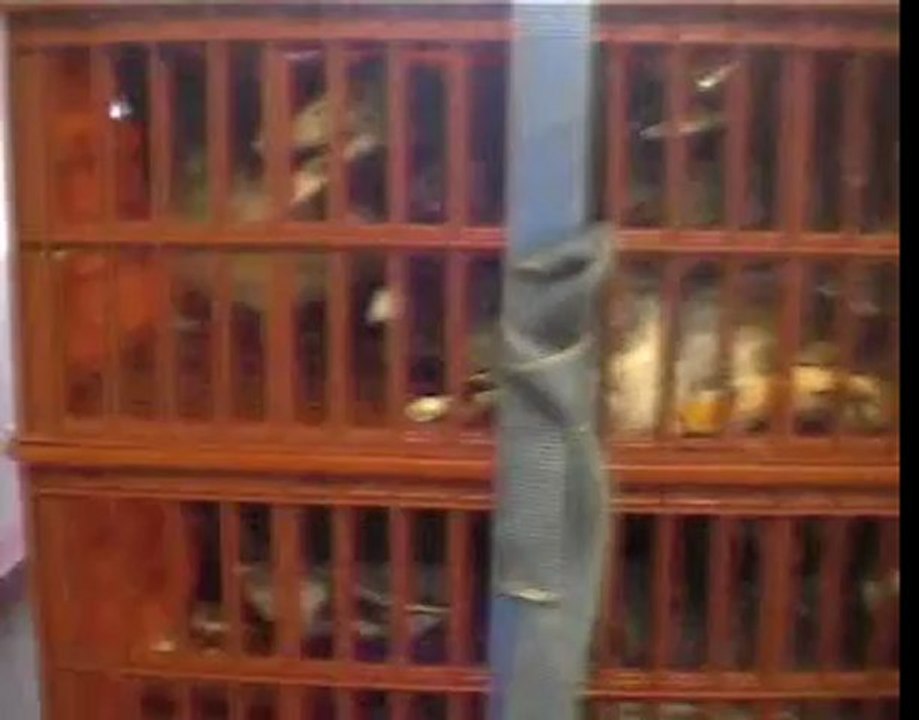 Enquête sur le foie gras