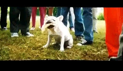 X-Men: Apocalypse La scena più bella di tutto il Film.