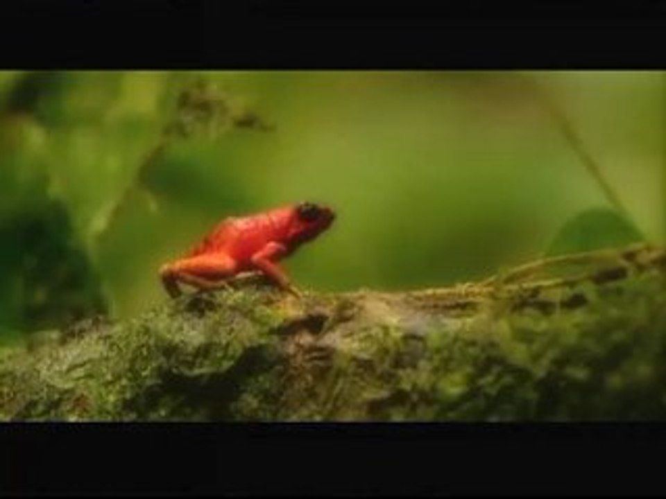 08-BIODIVERSITY