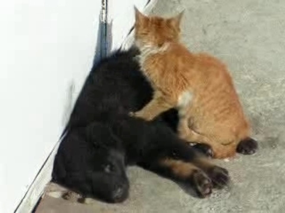 Hot massage