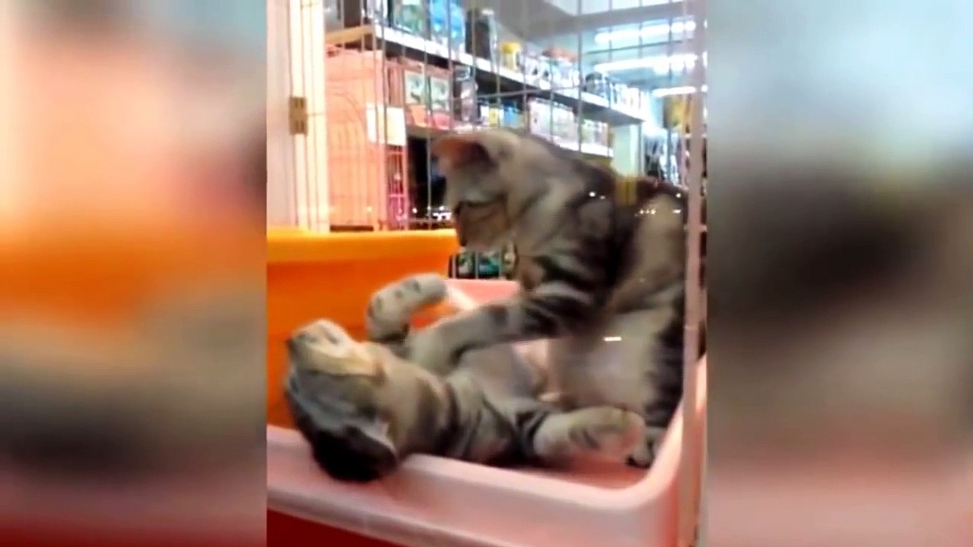 ⁣We Love Russia 2015 - Russian Fail Compilation. #13 Funniest Russian moments
