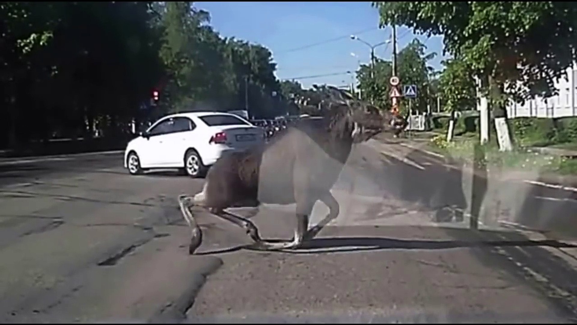 ⁣We Love Russia 2015 Russian Fail Compilation #49 Funniest Russian moment