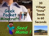 Minecraft PE: 30 Village 