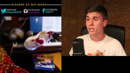 SI TE RIES PIERDES | Best Funny Animal Vines Compilation