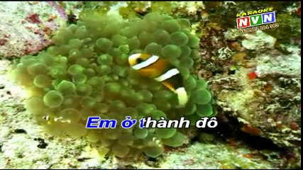 NHỊP CẦU TRI ÂM - TC. Karaoke HD - YouTube.