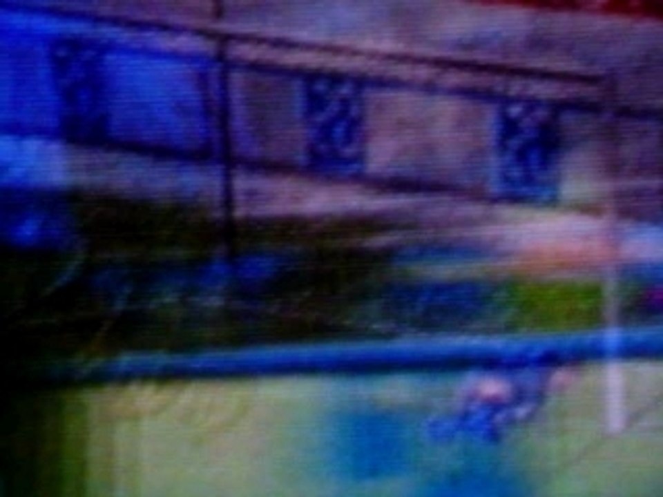 But ibrahimovic : [Simulation] Champion's Ligue