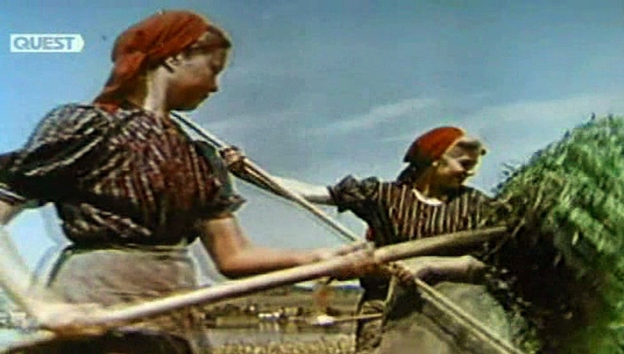 Hitler's Children - E03 - War