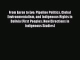 [PDF] From Enron to Evo: Pipeline Politics Global Environmentalism and Indigenous Rights in