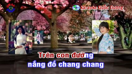 VUI TRONG NGÀY CƯỚI - HD - Karaoke.