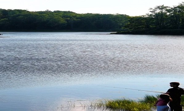 해외배팅에이전시 SuperCAR123.COM 가입코드: 6623 BET365가상축구