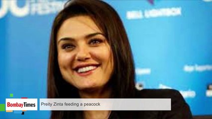 Preity Zinta Feeding A Peacock